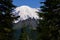 Panorama Volcanic Mountain Landscape in Mount Rainier National Park in Washington