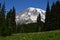 Panorama Volcanic Mountain Landscape in Mount Rainier National Park, Washington