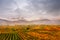 Panorama of Wachau valley. Colorful autumn in vine yards, Austri