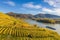 Panorama of Wachau valley (Unesco world heritage site) with ship on Danube river, Weissenkirchen in Austria