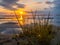 Panorama Wadden Sea North Sea