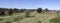 Panorama of the walkpath along the Leschenault Estuary Bunbury Western Australia .