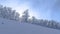 Panorama Wasatch Mountain terrain with frosted trees on snow covered slope in winter