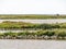 Panorama of water and nature on artificial island De Kreupel in lake IJsselmeer, Netherlands