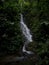 Panorama of waterfall cascade in tropical rain cloud forest Mindo valley jungle Nambillo Ecuador andes South America