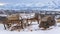 Panorama Weathered wooden cart and huge rocks on top of a hill with snow in winter