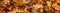 Panorama Web Banner Golden Autumn Fall Leaves Panoramic Background