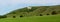 Panorama of Westbury White Horse
