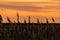 Panorama of the Westerheversand Lighthouse at Westerhever in Nordfriesland in the German state of Schleswig-Holstein