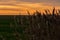 Panorama of the Westerheversand Lighthouse at Westerhever in Nordfriesland in the German state of Schleswig-Holstein