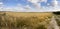 Panorama Wheat Field