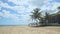 Panorama at white fluffy clouds fly above golden sandy beach with big palm trees