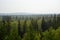 Panorama of the wild Northern Yakut spruce taiga with hills