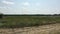 Panorama wild steppe areas