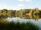 Panorama of willow autumn sprouts on the lake with grass in the foreground, selective focus