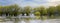 Panorama of willow trees in a flooded field