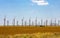panorama wind farm in Russia on the field in summer