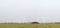 Panorama of wind turbines and cabbage field in the Netherlands
