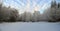 Panorama of winter forest. Frosty trees