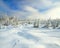 Panorama winter landscape with forest and traces of a hare on s