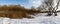 Panorama winter view of the reeds in the background of willow trees in the Park of Moscow. Russia.