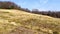 Panorama of yellow grasses on Alpe Vicania, Vico Morcote, Switzerland