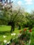 Panoramatic garden in spring