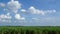 Panoramaâ€‹ Landscapeâ€‹ Caneâ€‹ farmâ€‹ andâ€‹ mountainâ€‹ viewâ€‹ underâ€‹ blueskyâ€‹ andâ€‹ tropicalâ€‹