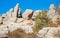 Panoramic aerial top view of mountains stones of El Torcal natural park, a lot of trees and a wild goat laying near the path on s