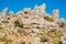 Panoramic aerial top view of mountains stones of El Torcal natural park,a lot of trees and wild goats greezing near the path on s