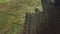 Panoramic aerial view of agricultural cultivated field with tractor performing fall tillage