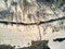 Panoramic aerial view: beautiful spring landscape: the Ulba river in Kazakhstan wakes up from winter sleep - ice drift - snow and