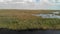 Panoramic aerial view of Everglades Swamps in Florida - USA