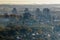 panoramic aerial view of a huge residential complex with high-rise buildings