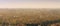 Panoramic aerial view of Rome from the top of Saint Peter`s Basilica