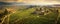 panoramic aerial view of a vast vineyard, with rows of grapevines stretching to the horizon, lush green foliage panorama