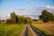 Panoramic agricultural landscape with a dirt road and blue sky