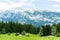 Panoramic alps mountain view