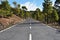 Panoramic asphalt road to Teide, Tenerife