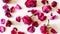 Panoramic background fallen petals of rose flowers