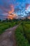 panoramic background of Indonesia's beautiful natural scenery. concrete rebate road in the rice fields