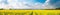 Panoramic banner with rapeseed flowers, field in bloom, AI generative horizontal panorama, border