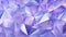 A panoramic banner showcasing an abstract lavender texture embellished with triangular shapes