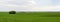 Panoramic beautiful green field
