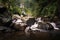 Panoramic Beautiful Tropical Rainforest Waterfalls In Indonesian