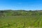 Panoramic beautiful view of Radda in Chianti and vineyards and olive trees in the Chianti region, Tuscany, Italy.