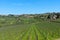 Panoramic beautiful view of residential areas Radda in Chianti and vineyards and olive trees in the Chianti region, Tuscany, Italy