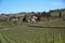 Panoramic beautiful view of residential areas Radda in Chianti and vineyards and olive trees in the Chianti region, Tuscany, Italy