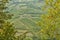 Panoramic beautiful view of residential areas Radda in Chianti and vineyards and olive trees in the Chianti region, Tuscany, Italy