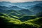 Panoramic Beauty of Longji Rice Terraces